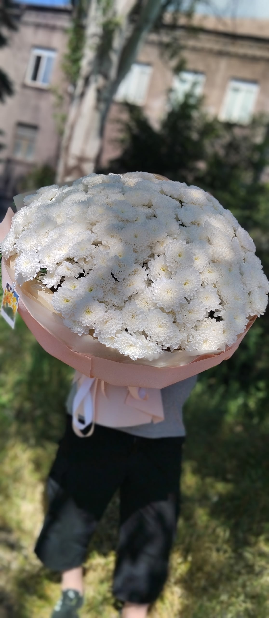 Большой букет белых хризантем
